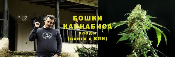 2c-b Заводоуковск