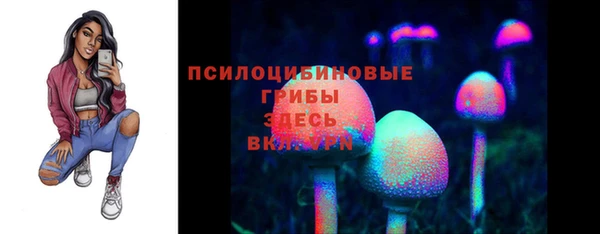 2c-b Заводоуковск