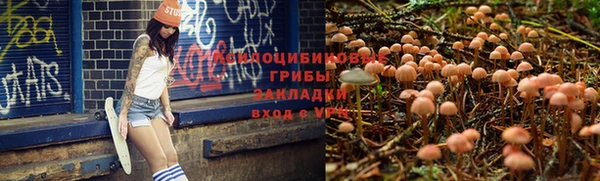 2c-b Заводоуковск